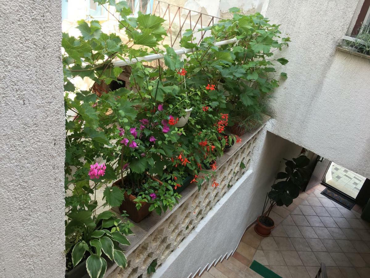 Apartment Lucija โนวีวีโนดอลสกี ภายนอก รูปภาพ